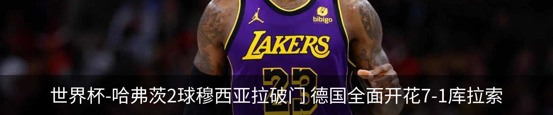 最新动态